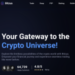 The Dark Side of Bitzua.com